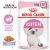 Royal Canin Kitten Instinctive In Jelly 12 X 85g
