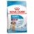 Royal Canin Medium Puppy Dry