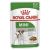 Royal Canin Mini Adult Wet Food Pouches