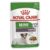 Royal Canin Mini Ageing 12+ Wet Food Pouches 12x85g