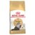 Royal Canin Persian Adult 2kg