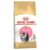 Royal Canin Persian Kitten 10kg