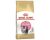 Royal Canin Persian Kitten 400g
