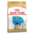 Royal Canin Pug Puppy Dry Dog Food 500 Gm