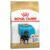 Royal Canin Rottweiler Puppy Dry