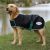 Weatherbeeta GreenTec 900D Dog Coat Lite Plus Black & Green 45cm